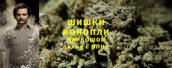 соль ск Волосово